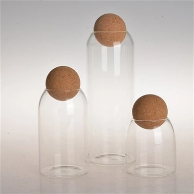 Köögi klaasist anumad